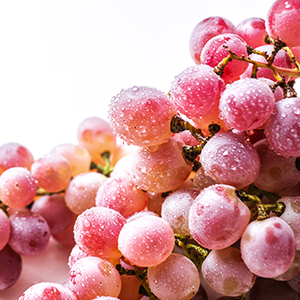 ブドウ幹細胞（ブドウ果実培養細胞エキス）
紫外線に強い希少なフランス産赤ブドウから抽出したエキス
